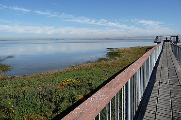 The Palo Alto baylands--go for a stroll on a spring afternoon.